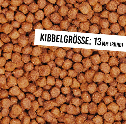 Schnauzenkumpel Lachspfanne