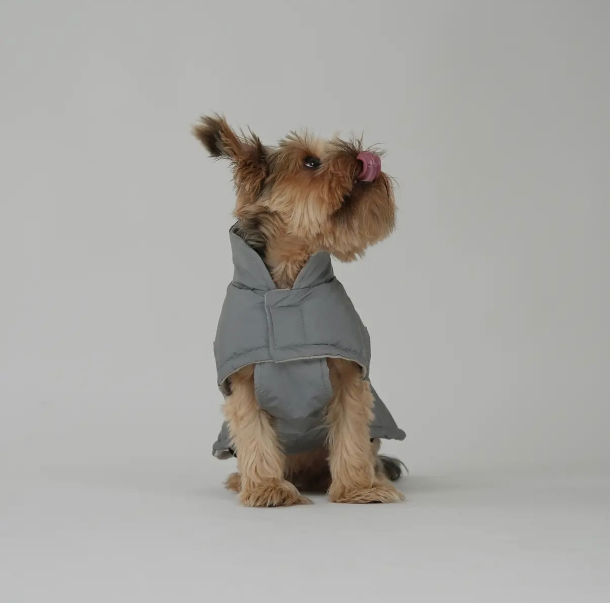 Hundemantel Nora | Reflektierend