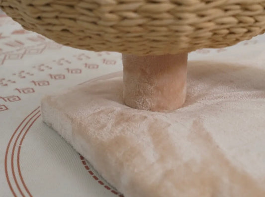 Cozy V2 Kratzbaum, natürlicher ästhetischer, handgewebter, mittelgroßer Katzenbaum