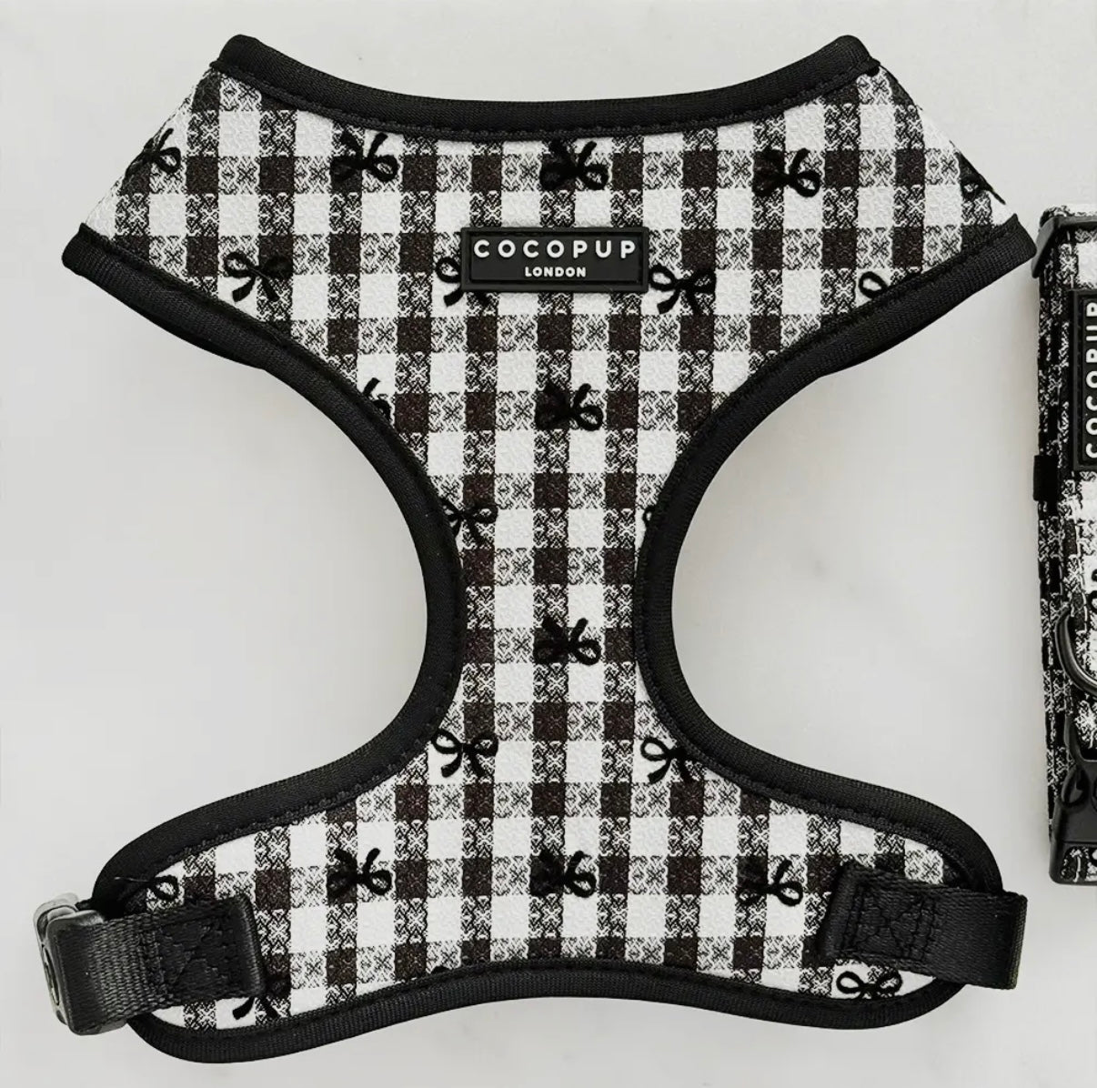 Geschirr-Welpe in Paris