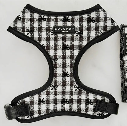 Geschirr-Welpe in Paris