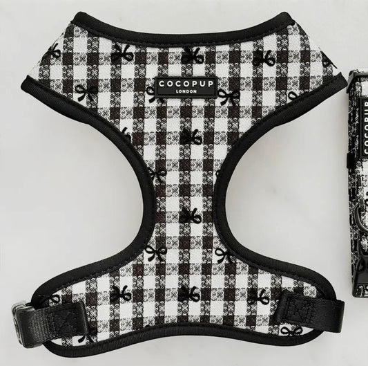 Geschirr-Welpe in Paris