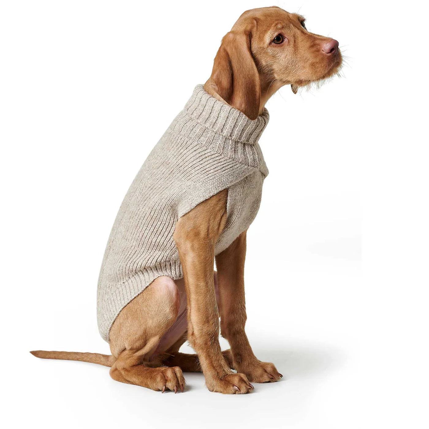 Hundepullover Genf beige