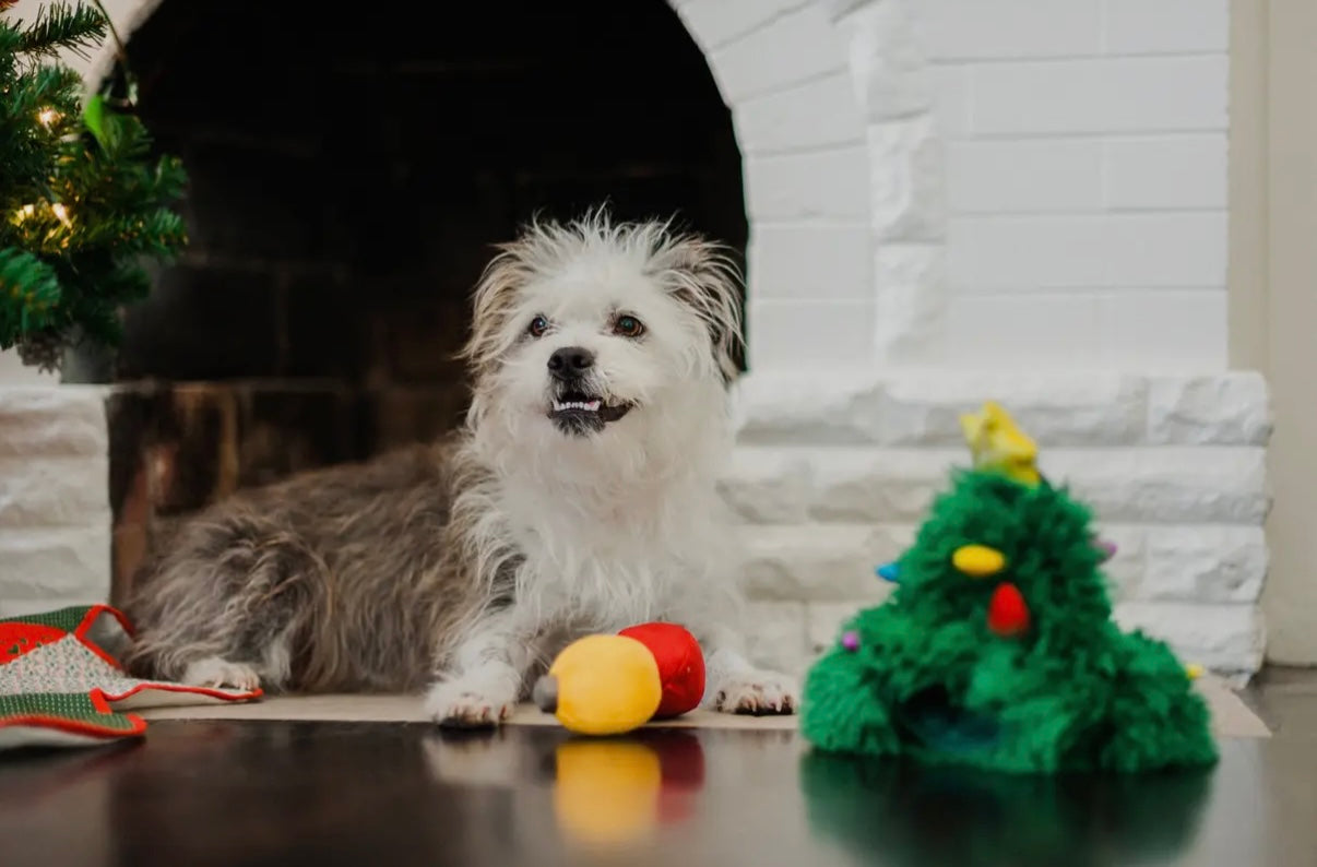 Hundespielzeug Weihnachtsbaum