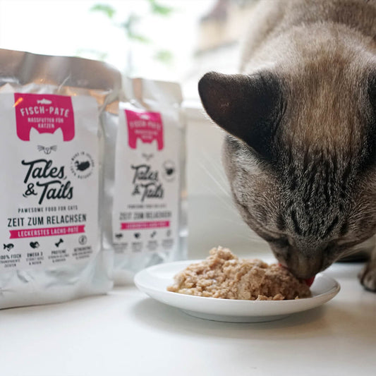 Tales & Tails Nassfutter für Katzen mit 100% Lachs - 100g