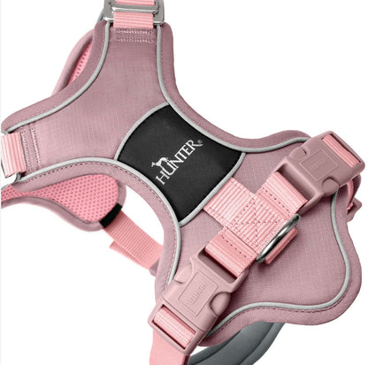 Geschirr Divo Up, altrosa