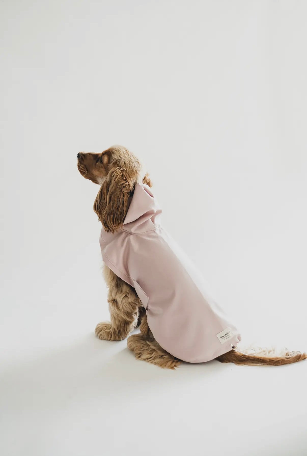 Hunde-Regenmantel Rosa | pink