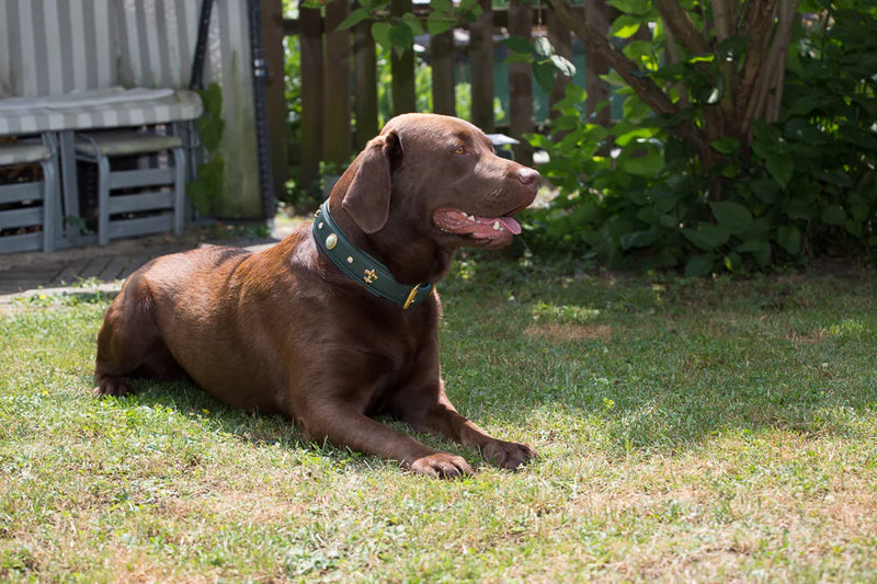 Halsband Jade - Grün