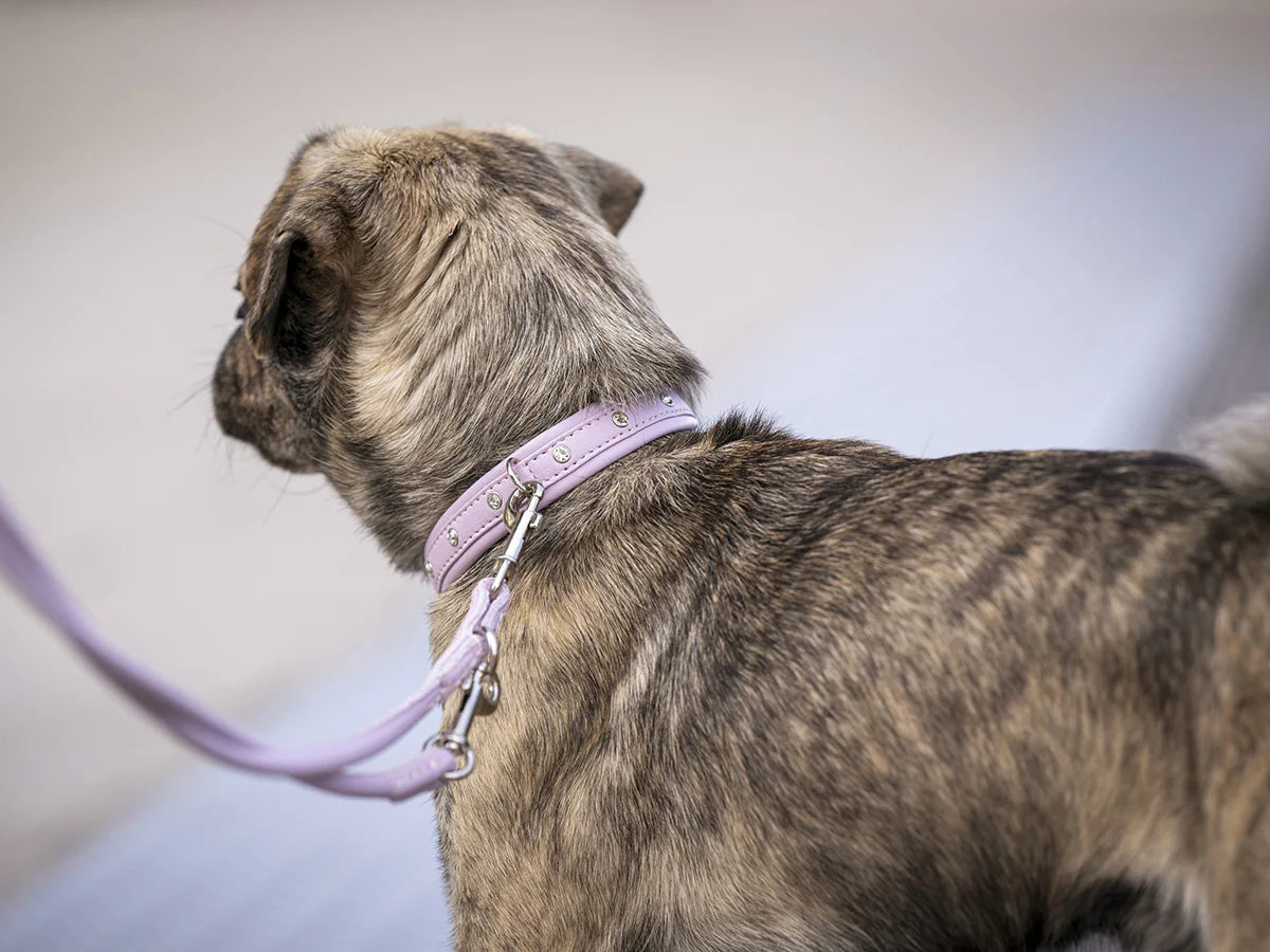 Halsband Mini Sunrise - Flieder