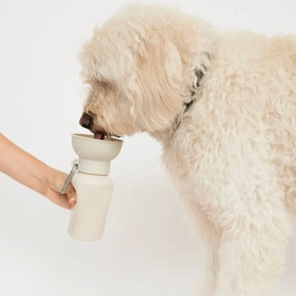 Hundewasserflasche Klein Klappbar