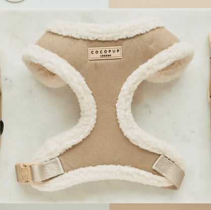 Geschirr- Nude Aviator