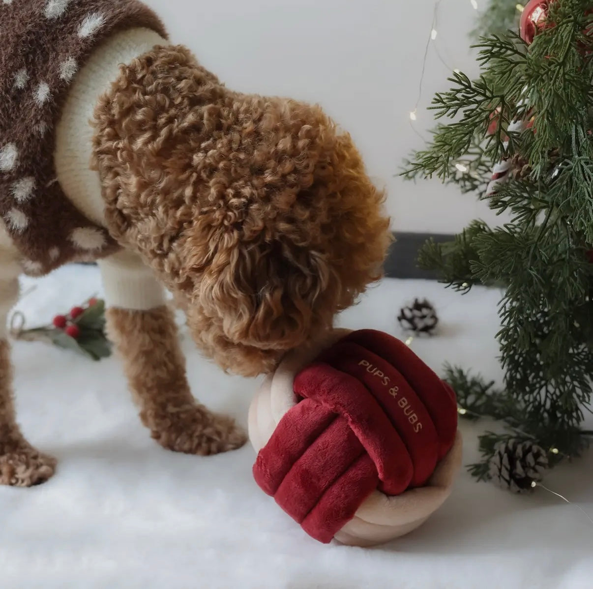 Jingle Schnüffelball