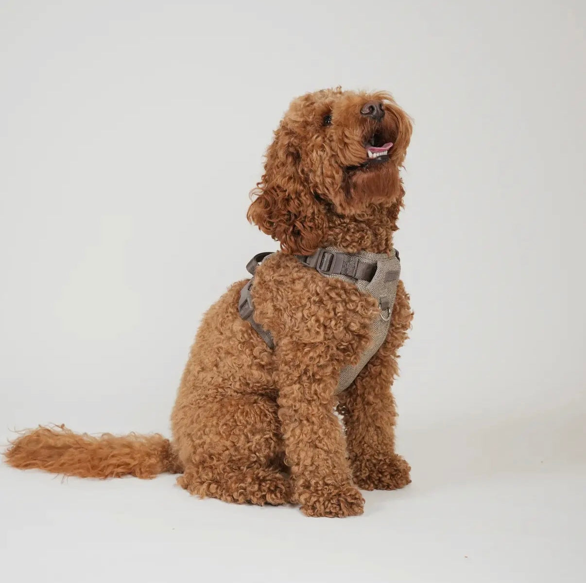 Geschirr Elma, Mocca