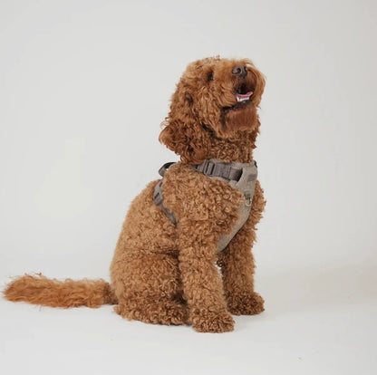 Geschirr Elma, Mocca