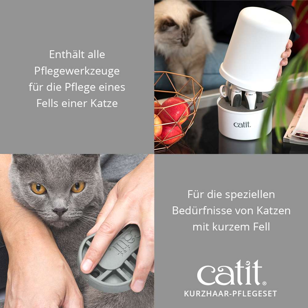 Bürsten-Set für kurzhaarige Katzen
