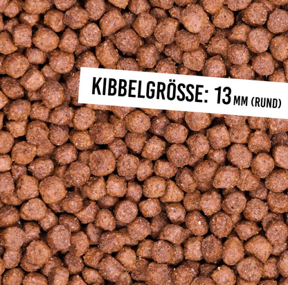 Schnauzenkumpel Lammragout