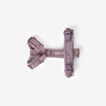 Flieder - Samt Hundegeschirr