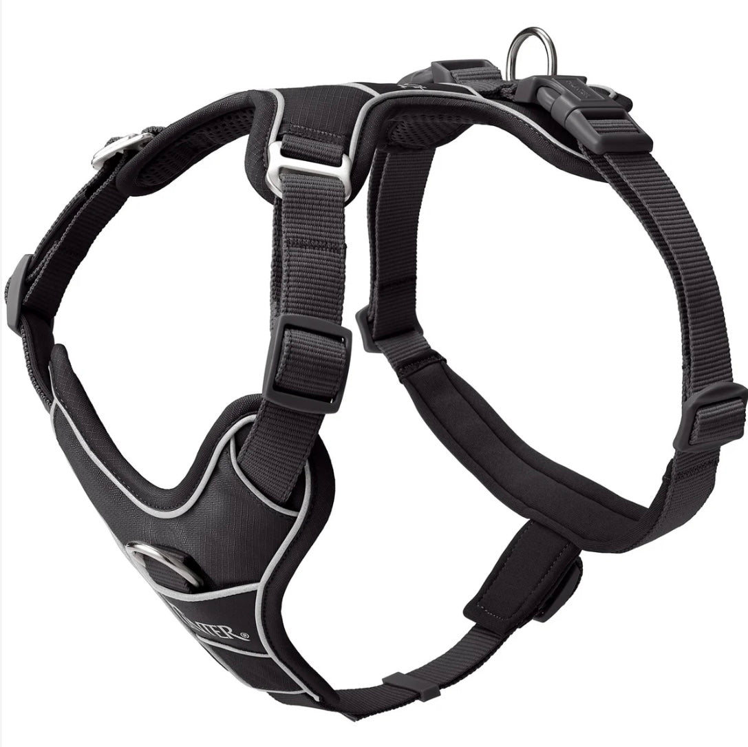 Geschirr Divo Up, schwarz