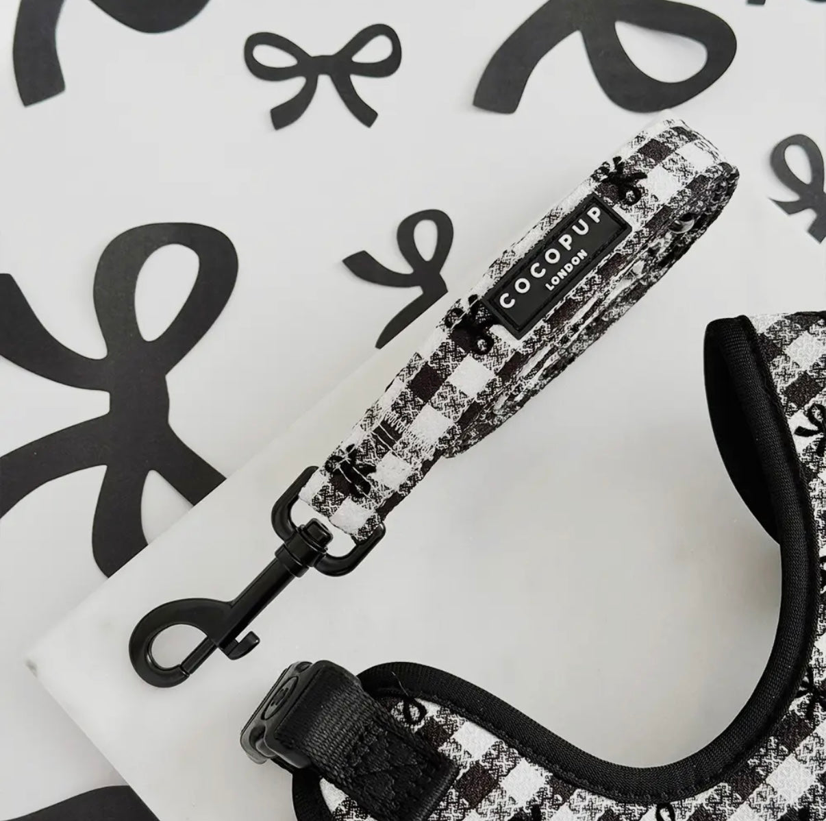 Leine-Welpe in Paris