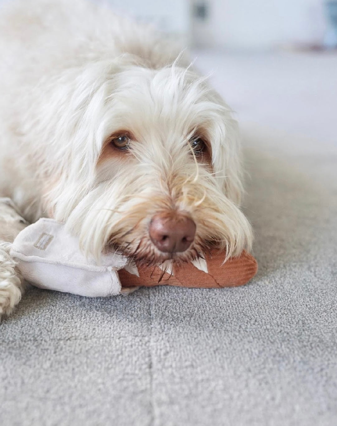 Hundespielzeug Mini-Baguette