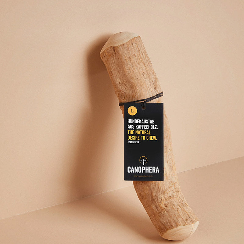 Hundekaustab aus Kaffeeholz