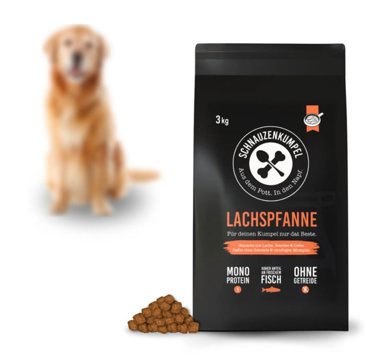 Schnauzenkumpel Lachspfanne