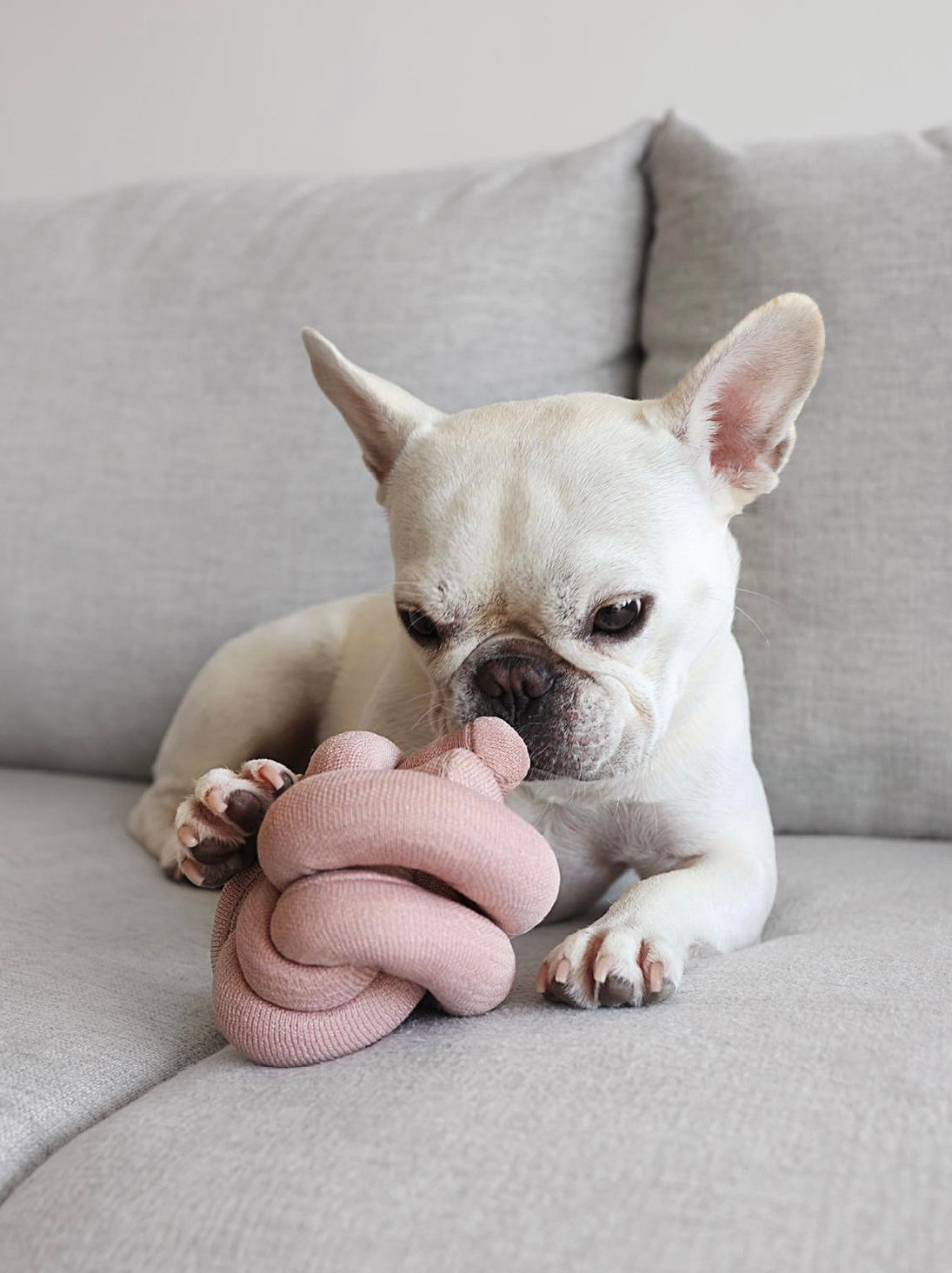 Hundespielzeug Knoten