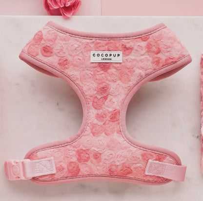 Geschirr- Pfingstrosen