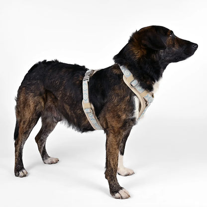 Hundegeschirr Boho- Sky