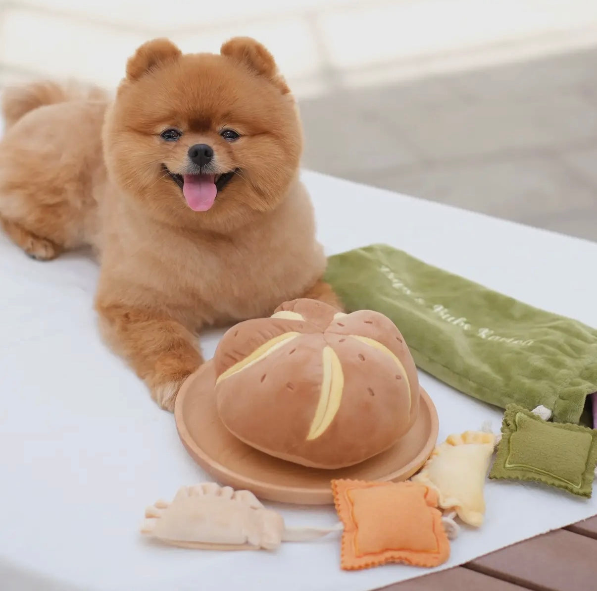 Käsebrot Nasenarbeit Spielzeug