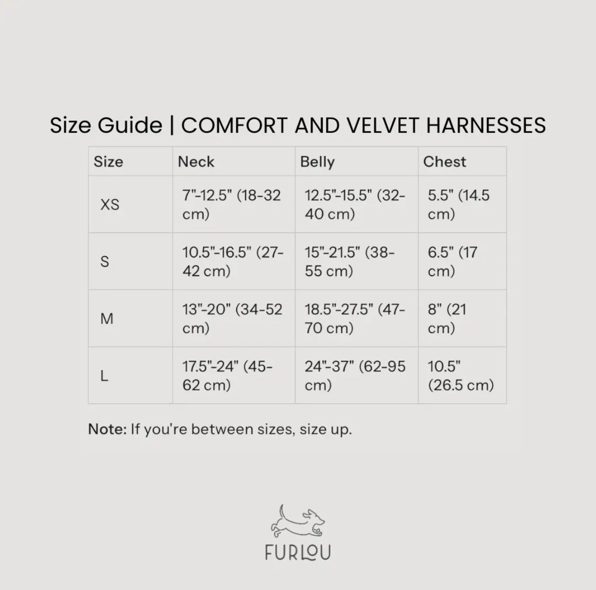 Flieder - Samt Hundegeschirr