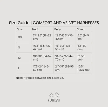 Flieder - Samt Hundegeschirr