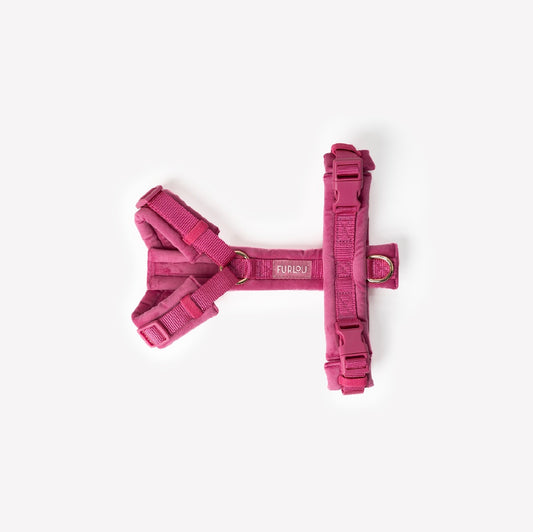 Magenta - Samt Hundegeschirr