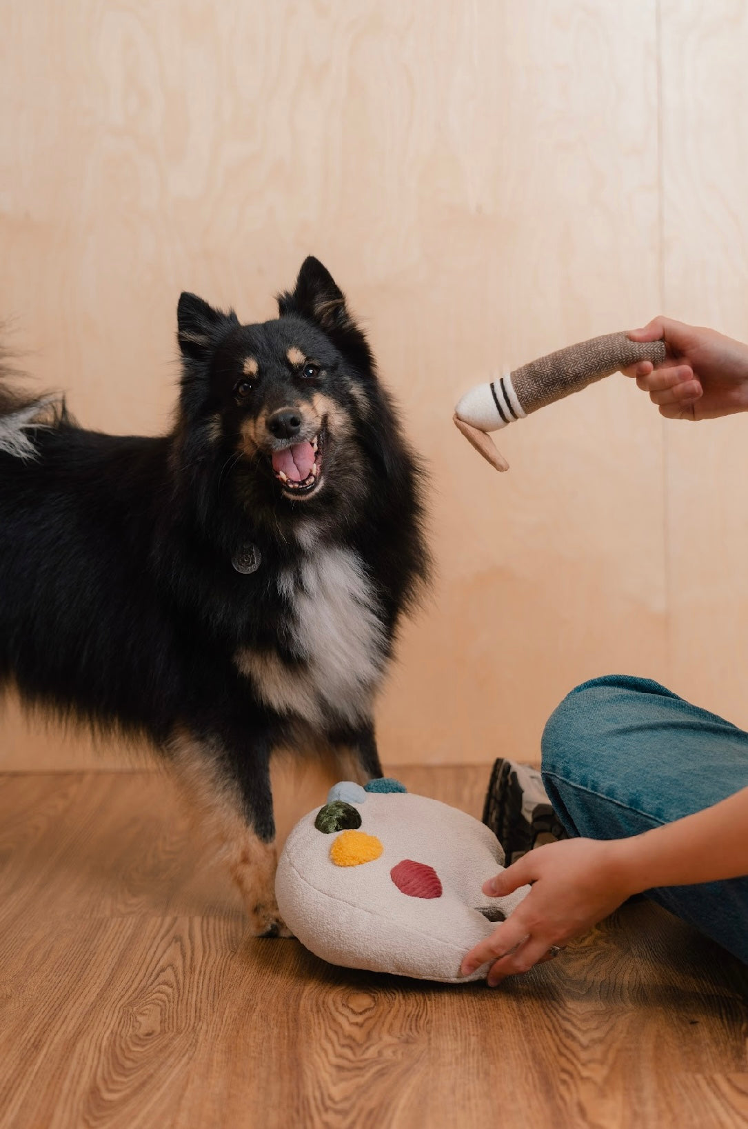 Hundespielzeug Farbpaletten-Set