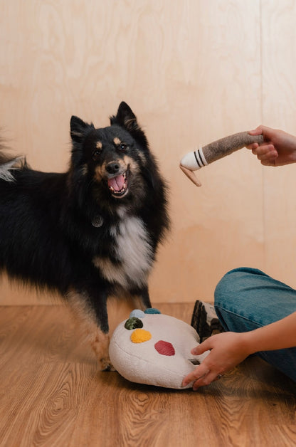 Hundespielzeug Farbpaletten-Set