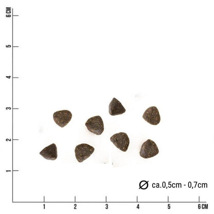 Tales & Tails Junior Soft Lamm