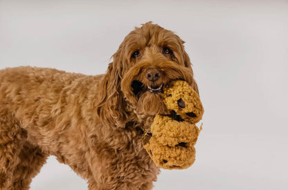 Hundespielzeug Kekse