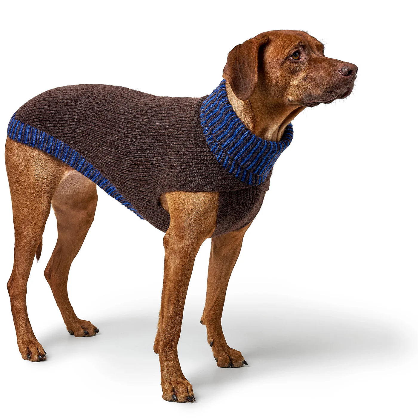 Hundepullover Odense mit Mütze Set braun/blau