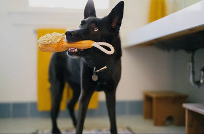 Hundespielzeug Bürste