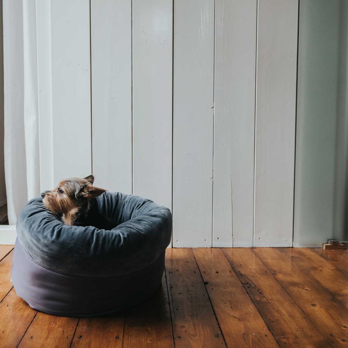 Bett Hund/Katze Miranda Polyester anthrazit