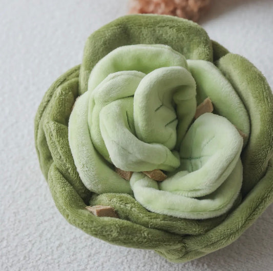 Kohl/Salat Nasenarbeit Spielzeug