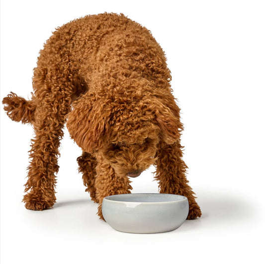 Napf Lisboa 1500 ml Keramik mehrfarbig creme