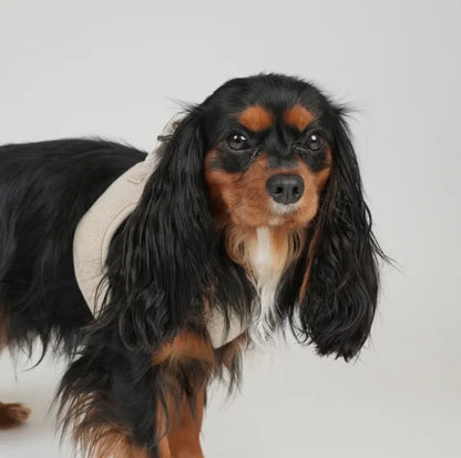 Step in Geschirr Teddy Natur