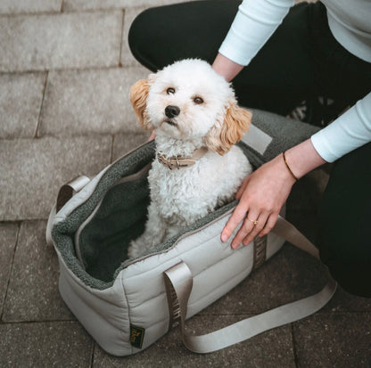 2-in-1 Hunde-Tragetasche und Decke greige
