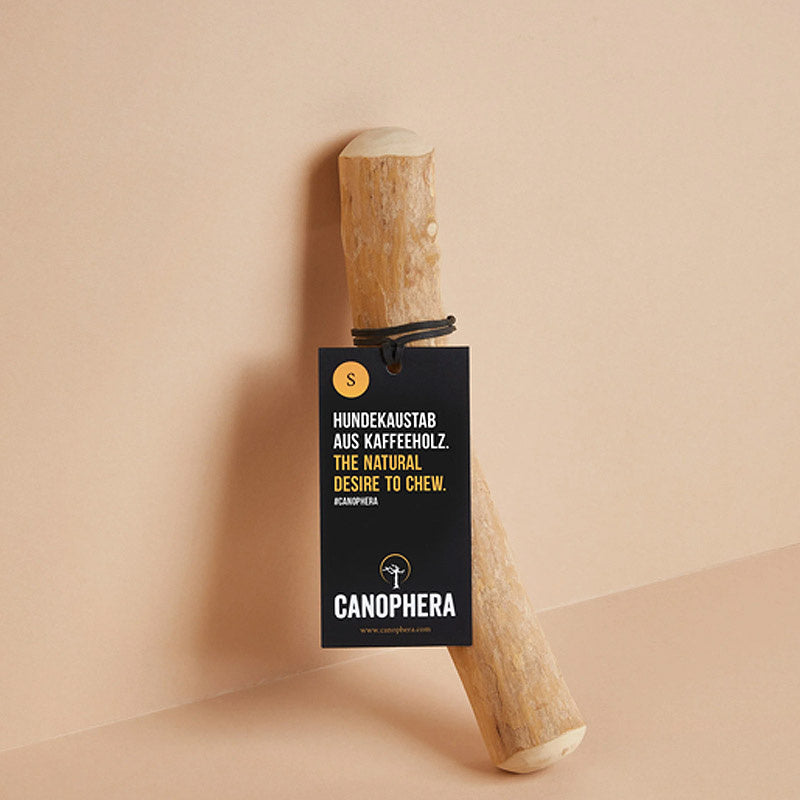 Hundekaustab aus Kaffeeholz