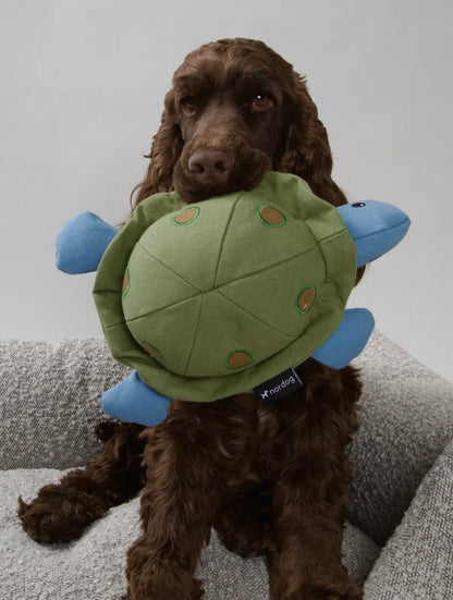 Kim die Schildkröte