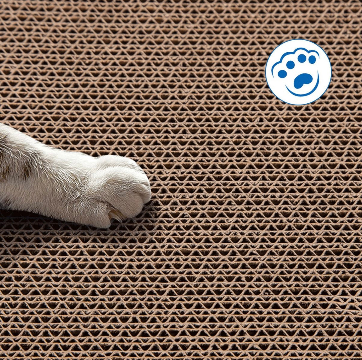 2in1 Kratzbrett - Kratzpappe