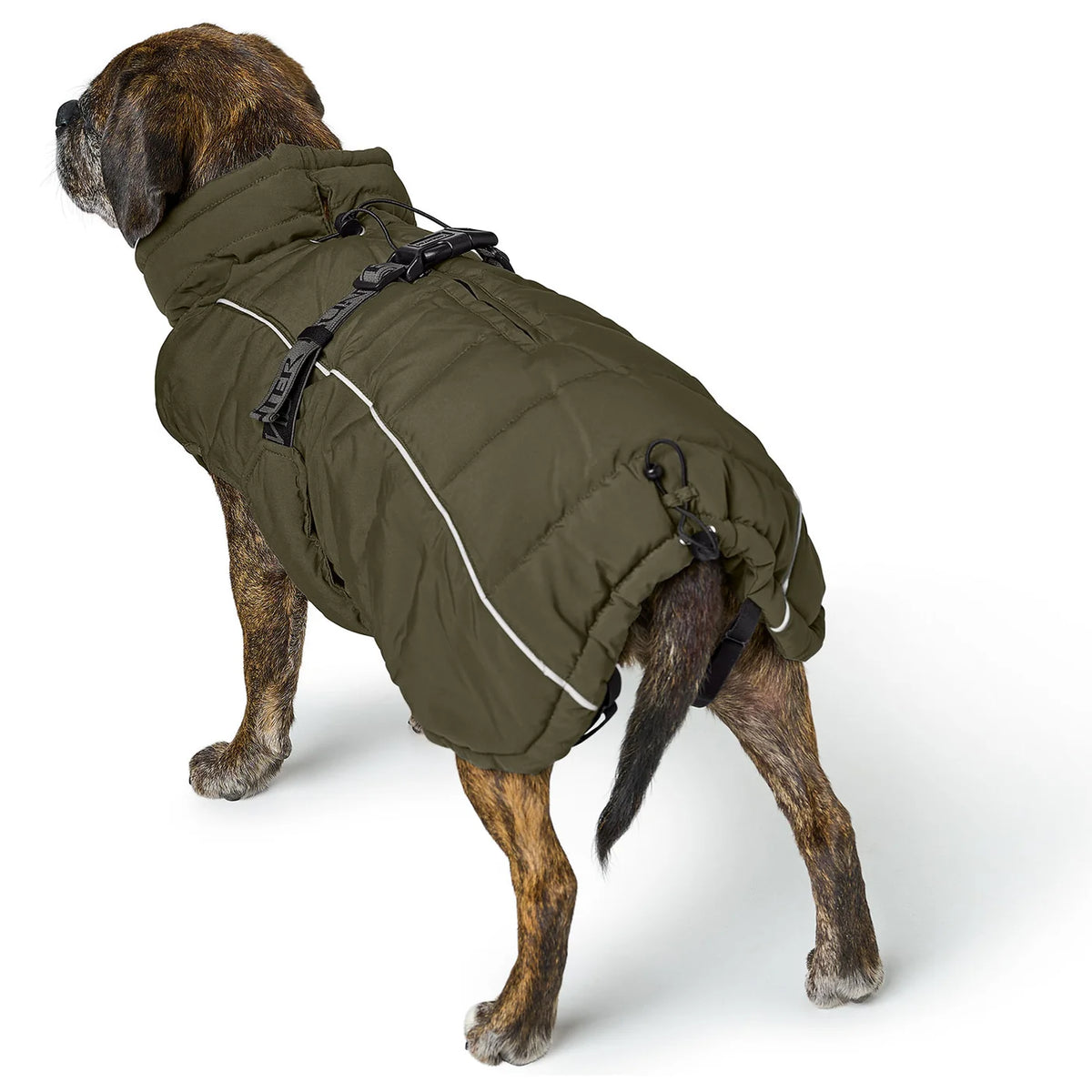 Hundemantel Mops, Frenchie & Co. oliv