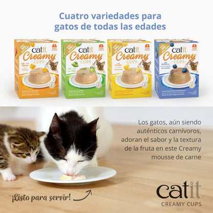 Catit Creamy Cups Mix-Pack 4 x 25g