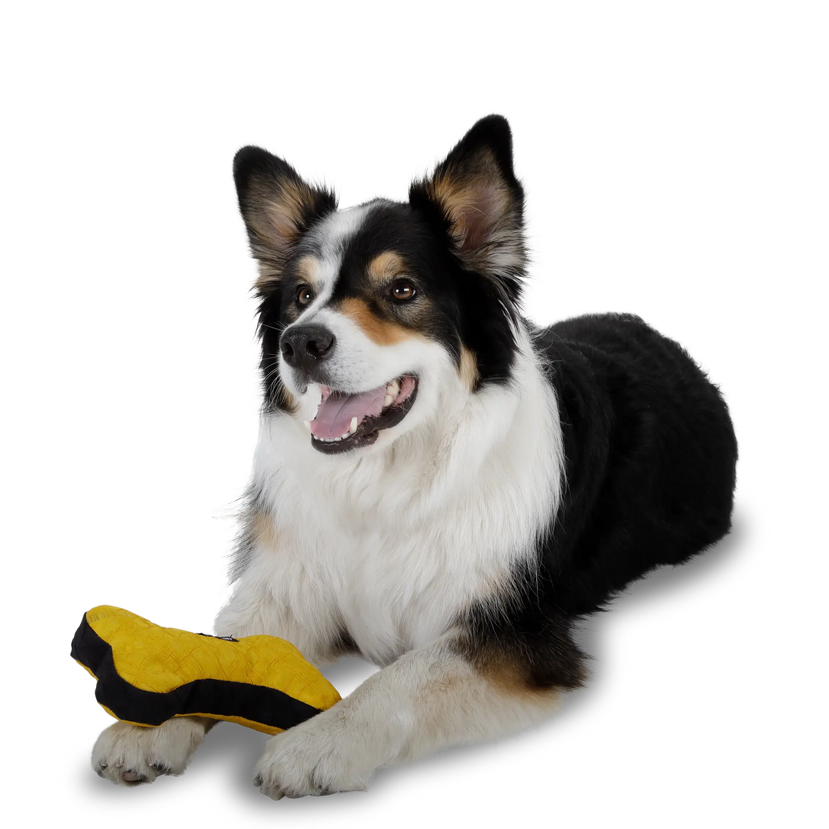 Hundespielzeug Knochen- nachhaltig, robust & interaktiv